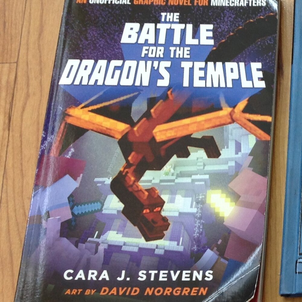 Three Minecraft Books - Picture 3 of 5